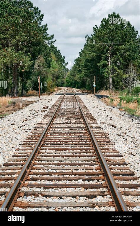 Tracks usa - Trojan Tracks USA, Calhoun, Georgia. 290 likes · 7 talking about this · 4 were here. Trojan Tracks makes durable and reliable rubber tracks, skid steer tires, and wear parts for skid st Trojan Tracks USA